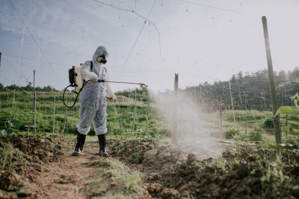 Best Local Pest Control Services  in Hanceville, AL