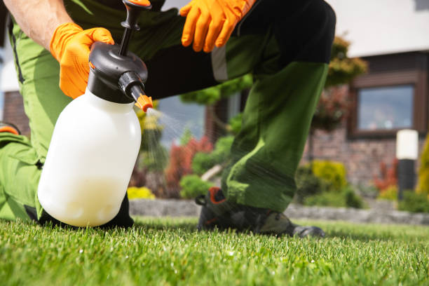 Best Cockroach Control Services  in Hanceville, AL