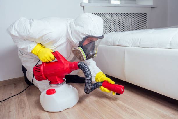 Best Rat Extermination Near Me  in Hanceville, AL