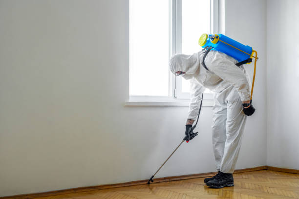 Best Best Pest Control Companies  in Hanceville, AL