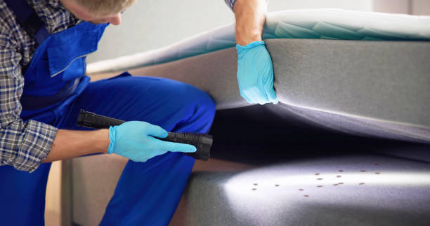 Best Emergency Pest Control  in Hanceville, AL