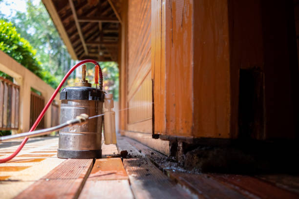 Wasp Removal Services in Hanceville, AL