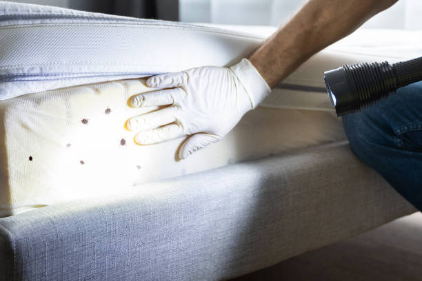 Best Wasp Removal Services  in Hanceville, AL