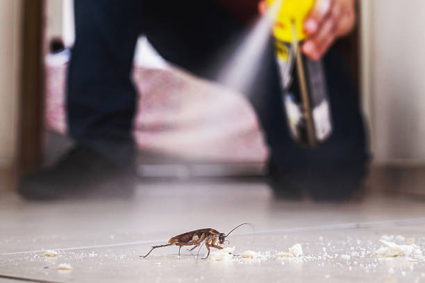 Best Pest Control Near Me  in Hanceville, AL