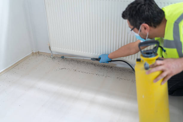 Best Mosquito Control Services  in Hanceville, AL