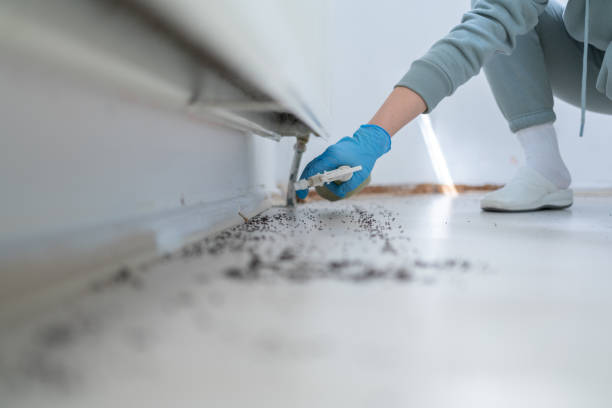 Best Commercial Pest Control Services  in Hanceville, AL
