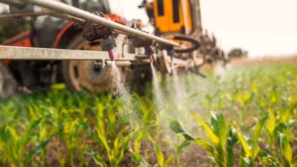 Best Pest Prevention Services  in Hanceville, AL